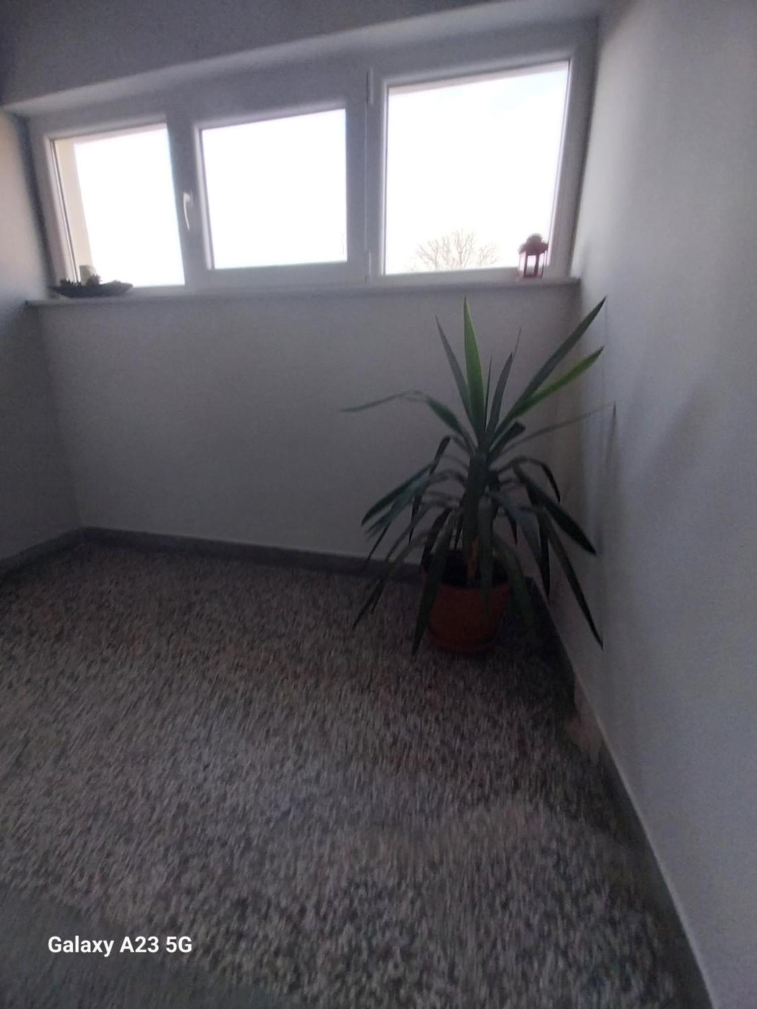 Apartman Bloom Osijek Extérieur photo